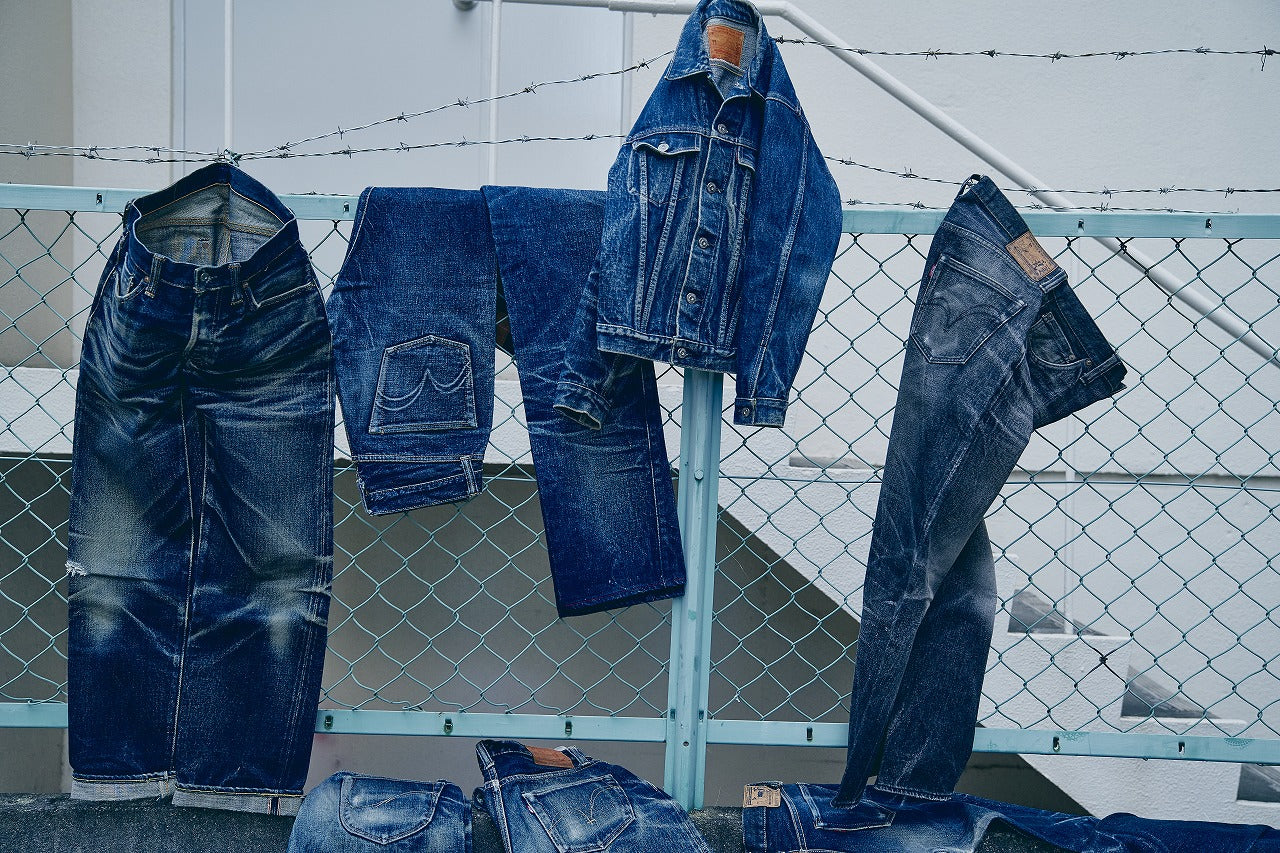 STANDARD COLLECTIONS